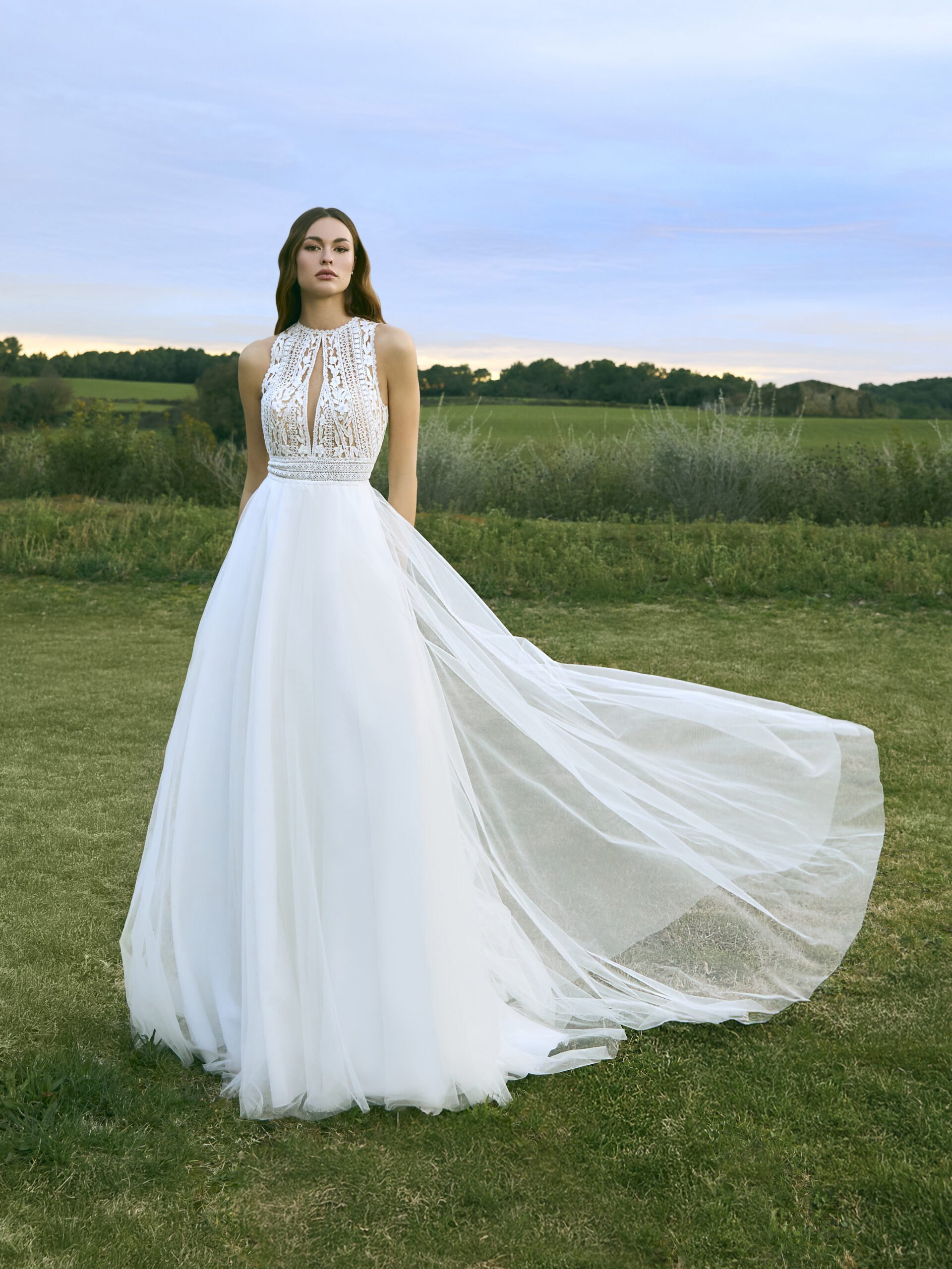 WU127BH Νυφικό φόρεμα White One Myrsine Α γραμμή από τούλι με ψηλή λαιμόκοψη ATHENAV Bridal